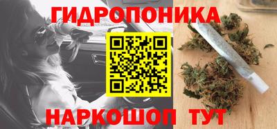 а пвп мука Кингисепп