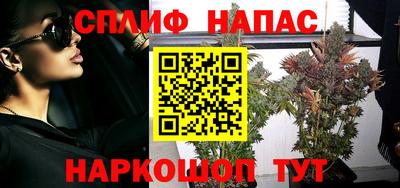 сатива Кинель