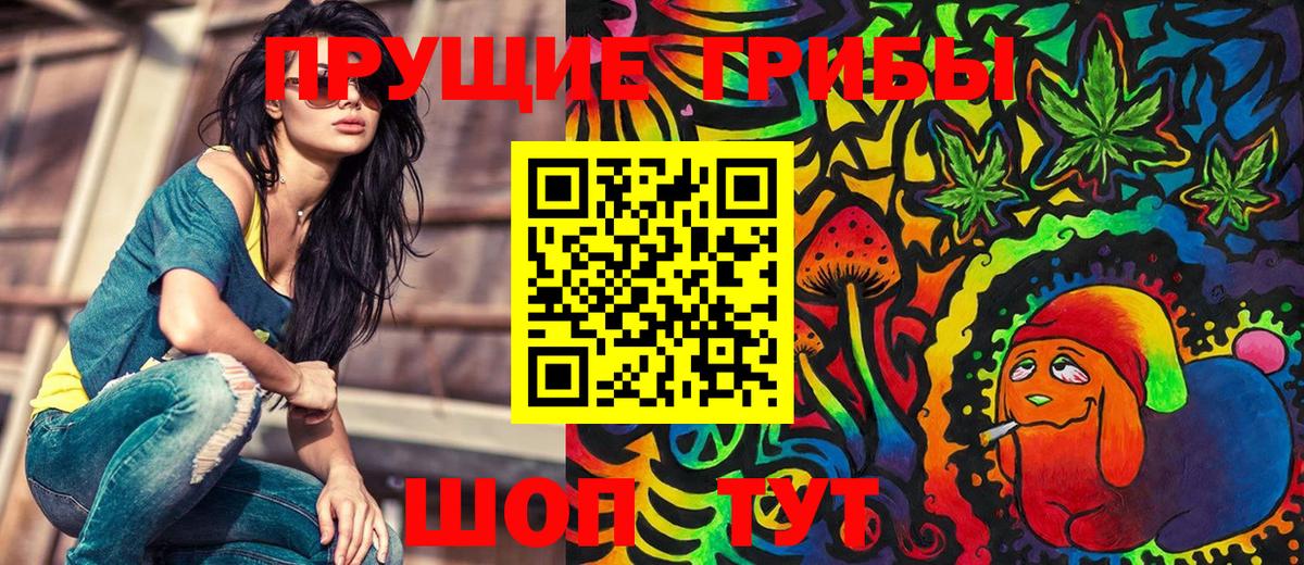 Псилоцибиновые грибы Psilocybe Котовск