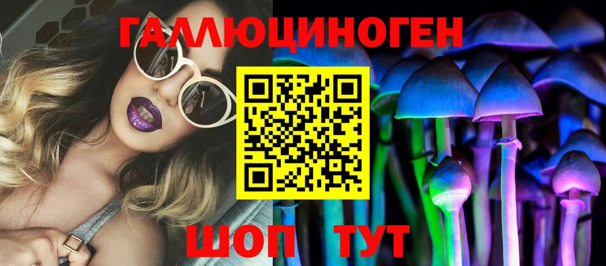 Котовск  Псилоцибиновые грибы прущие грибы  Вход с VPN 